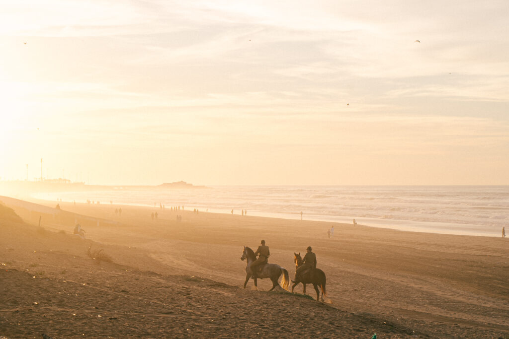 Gardiens de la plage